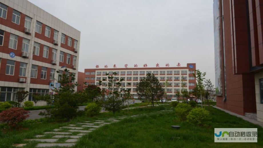 莱芜专业网站建设服务：从设计到推广，全方位满足企业需求